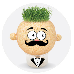 Pedzinis Žaks